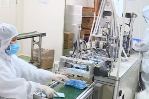 Bài viết demo tiếng việt